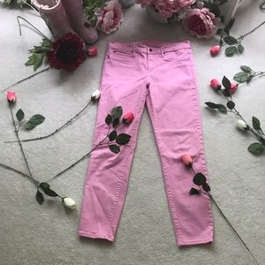 Jeans Pink Color